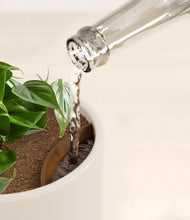 Load image into Gallery viewer, Cotton White stand:all