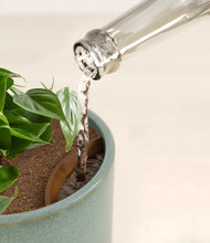 Load image into Gallery viewer, Reactive Aqua stand:all