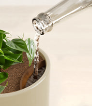 Load image into Gallery viewer, Sage Green stand:all