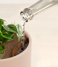 Load image into Gallery viewer, Sandy Pink stand:all