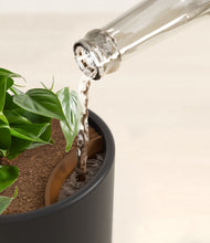 Load image into Gallery viewer, Stone Black stand:all