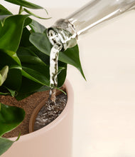 Load image into Gallery viewer, Rose Petal stand:all
