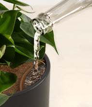 Load image into Gallery viewer, Graphite stand:all