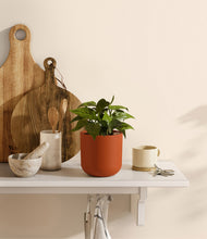 Load image into Gallery viewer, Earth Red