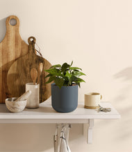 Load image into Gallery viewer, Iron Gray