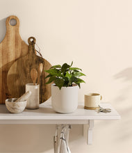 Load image into Gallery viewer, Natural Bamboo