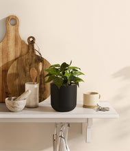 Load image into Gallery viewer, Stone Black