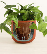 Load image into Gallery viewer, Earth Red