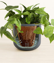 Load image into Gallery viewer, Iron Gray