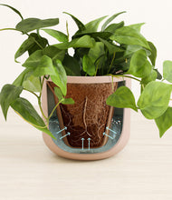 Load image into Gallery viewer, Sandy Pink