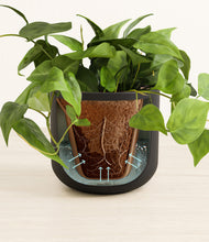 Load image into Gallery viewer, Stone Black