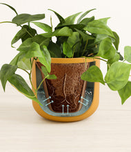 Load image into Gallery viewer, Sunset Orange