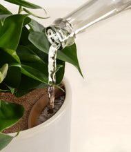 Load image into Gallery viewer, Snowdrift White stand:all