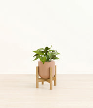 Load image into Gallery viewer, Striped Peach Pink stand:bamboo