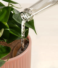 Load image into Gallery viewer, Rose Linen stand:all