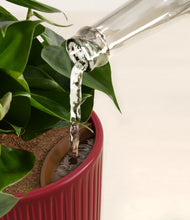 Load image into Gallery viewer, Striped Cherry Red stand:all