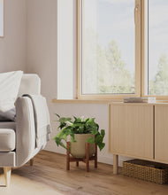 Load image into Gallery viewer, Olive stand:walnut