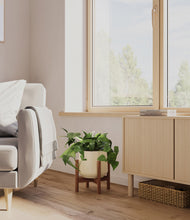 Load image into Gallery viewer, Almond Green stand:walnut