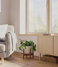 Load image into Gallery viewer, Eternal Gray stand:walnut