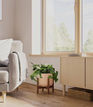 Load image into Gallery viewer, Gentle Pink stand:walnut