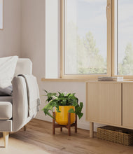 Load image into Gallery viewer, Mustard stand:walnut