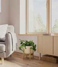 Load image into Gallery viewer, Almond Green stand:bamboo