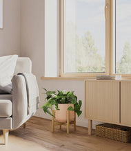 Load image into Gallery viewer, Gentle Pink stand:bamboo