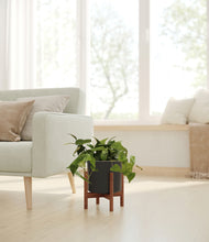 Load image into Gallery viewer, Black stand:walnut