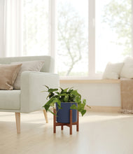 Load image into Gallery viewer, Deep Navy stand:walnut