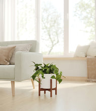 Load image into Gallery viewer, White stand:walnut