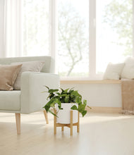 Load image into Gallery viewer, White stand:bamboo