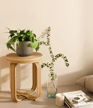 Load image into Gallery viewer, Olive