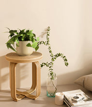 Load image into Gallery viewer, Almond Green