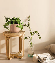 Load image into Gallery viewer, Gentle Pink