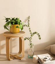 Load image into Gallery viewer, Mustard