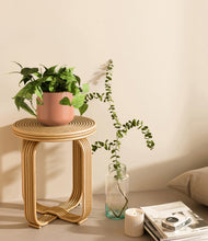 Load image into Gallery viewer, Calm Rose