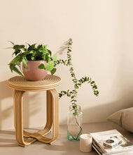 Load image into Gallery viewer, Calm Rose