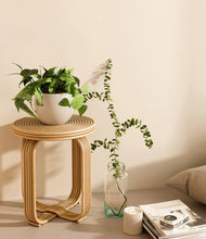 Load image into Gallery viewer, Shiny EggWhite