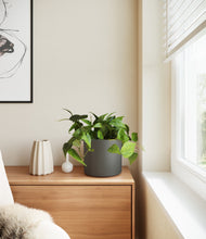 Load image into Gallery viewer, Dark Olive