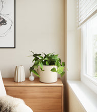 Load image into Gallery viewer, Cream