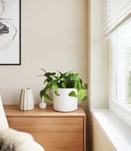 Load image into Gallery viewer, White