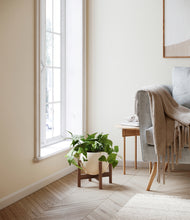 Load image into Gallery viewer, Shiny EggWhite stand:walnut