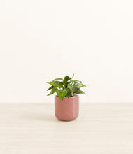 Load image into Gallery viewer, Hammered Rose Pink*****Profile