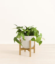Load image into Gallery viewer, Natural Bamboo stand:bamboo