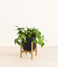 Load image into Gallery viewer, Stone Black stand:bamboo