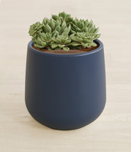 Load image into Gallery viewer, Deep Navy stand:all