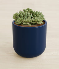 Load image into Gallery viewer, Twilight Blue stand:all