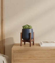 Load image into Gallery viewer, Deep Navy stand:walnut