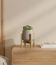 Load image into Gallery viewer, Eternal Gray stand:bamboo