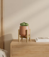 Load image into Gallery viewer, Calm Rose stand:bamboo